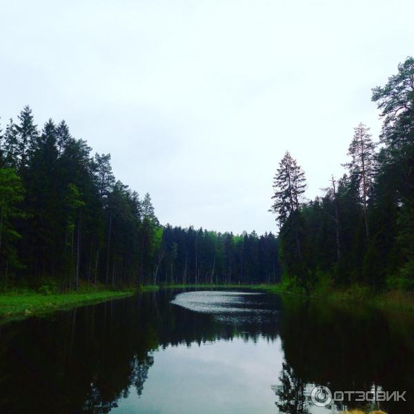 Экскурсия по Августовскому каналу (Беларусь, Гродненская область) фото