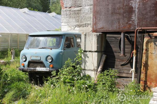 Ботанический сад УрО РАН (Россия, Екатеринбург) фото