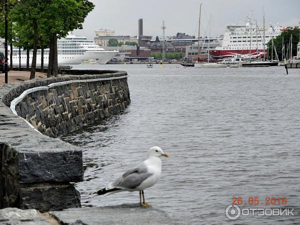 Экскурсия по центру Хельсинки