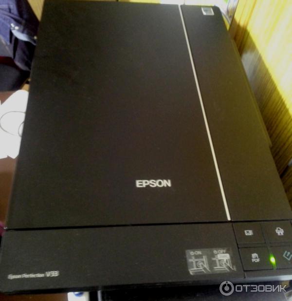 EPSON V33