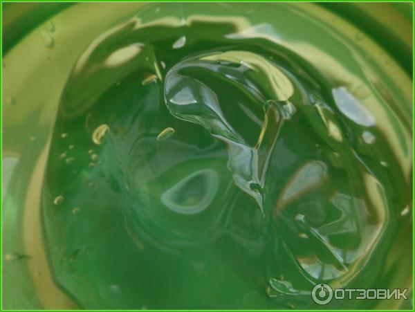 Многофункциональный гель с алое The SAEM Jeju Fresh Aloe Soothing Gel фото