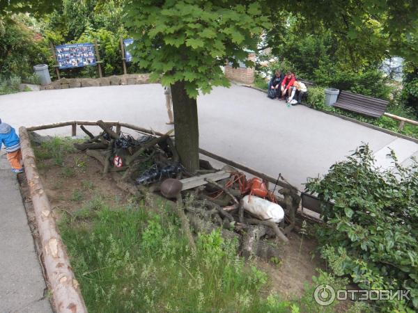 Пражский зоопарк (Чехия, Прага) фото