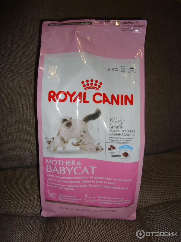 Сухой корм для беременных кошек и котят до года Mother & Babycat Royal Canin фото