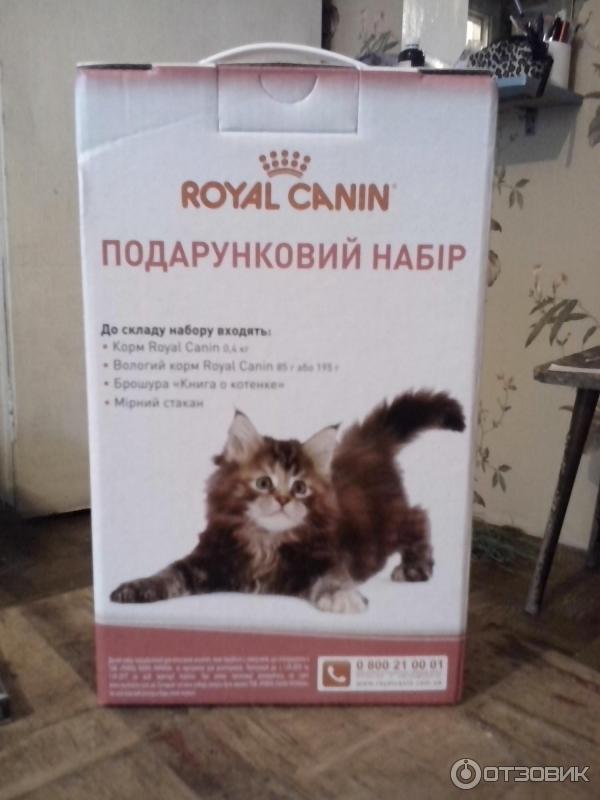 Набор Royal Canin Kitten фото