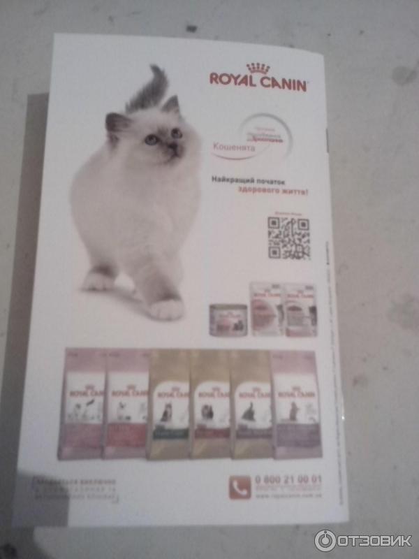 Набор Royal Canin Kitten фото