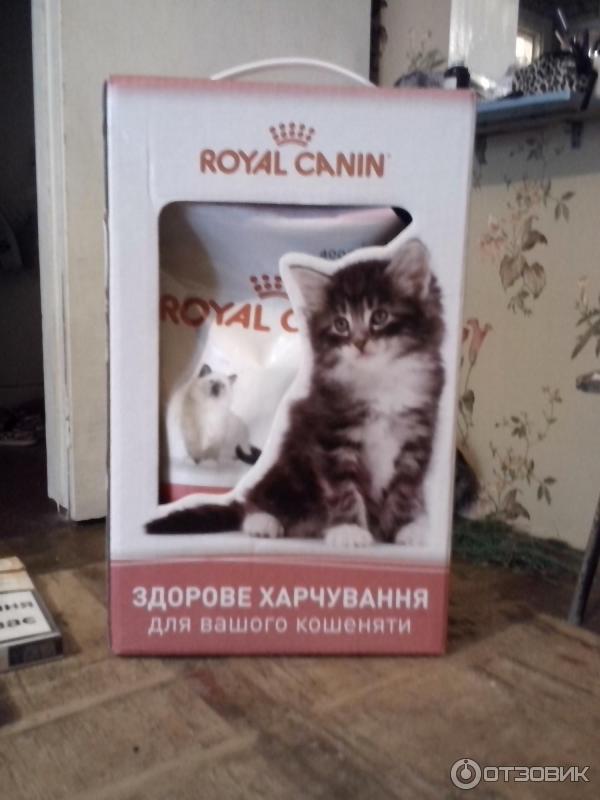 Набор Royal Canin Kitten фото