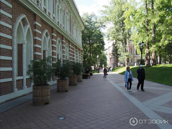 Музей-заповедник Царицыно (Россия, Москва) фото