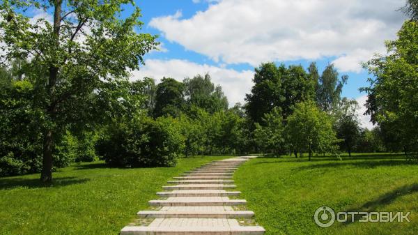 Музей-заповедник Царицыно (Россия, Москва) фото