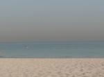 Отель Lou'lou'a Beach Resort Sharjah (ОАЭ, Шарджа) фото