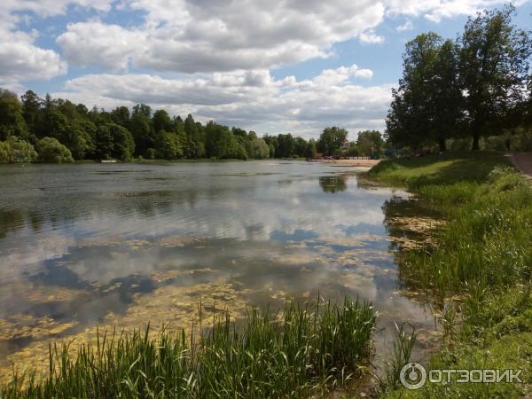 Колонистский пруд фото