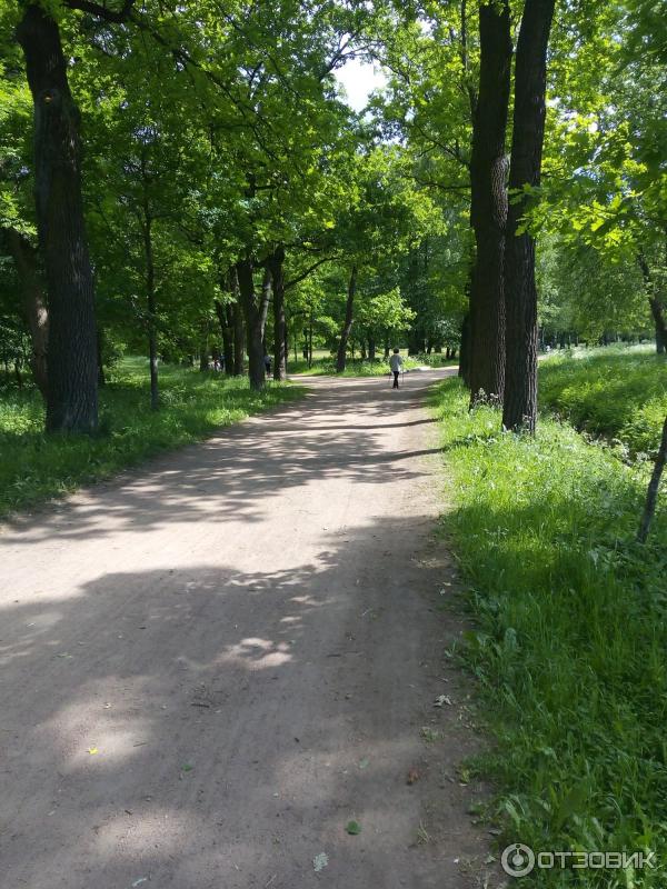 Колонистский пруд фото