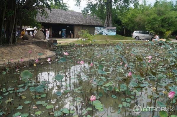 Грязевые минеральные источники I resort (Вьетнам, Нячанг)