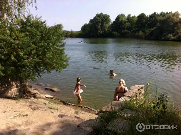 База отдыха У Петровича (Россия, Ростовская область, Ольгинский р-н) фото