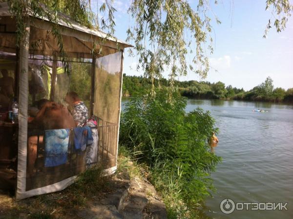 База отдыха У Петровича (Россия, Ростовская область, Ольгинский р-н) фото