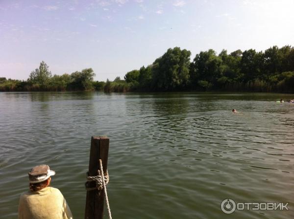 База отдыха У Петровича (Россия, Ростовская область, Ольгинский р-н) фото