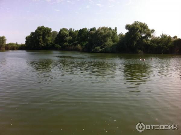 База отдыха У Петровича (Россия, Ростовская область, Ольгинский р-н) фото