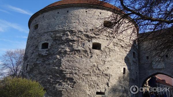 Крепостная стена и башни (Эстония, Таллинн) фото