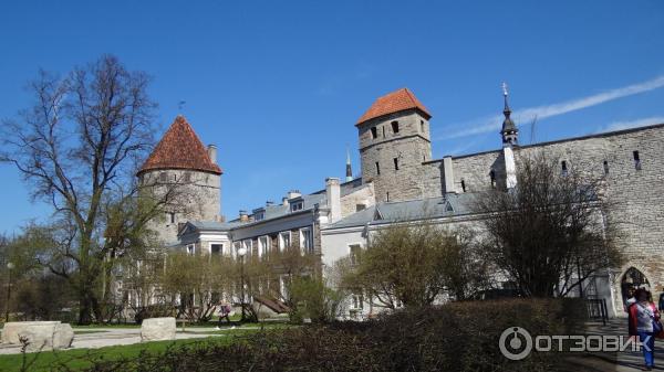 Крепостная стена и башни (Эстония, Таллинн) фото