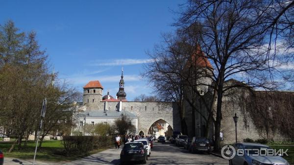 Крепостная стена и башни (Эстония, Таллинн) фото