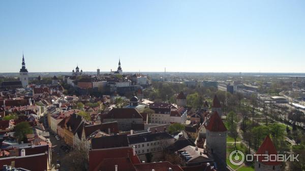 Крепостная стена и башни (Эстония, Таллинн) фото