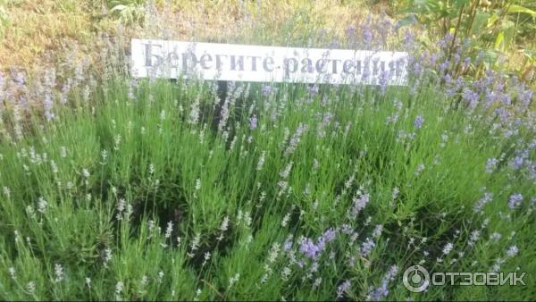 Развлекательный комплекс В некотором царстве (Россия, Рязань) фото