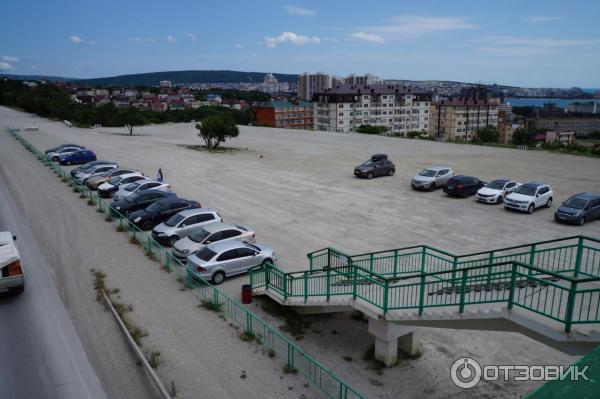 Сафари-парк геленджик