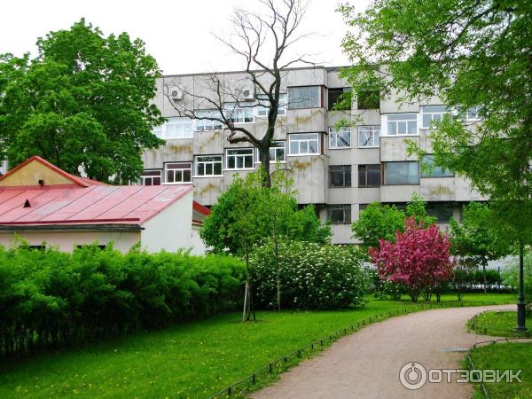 Польский сад Державина - контрастное фото