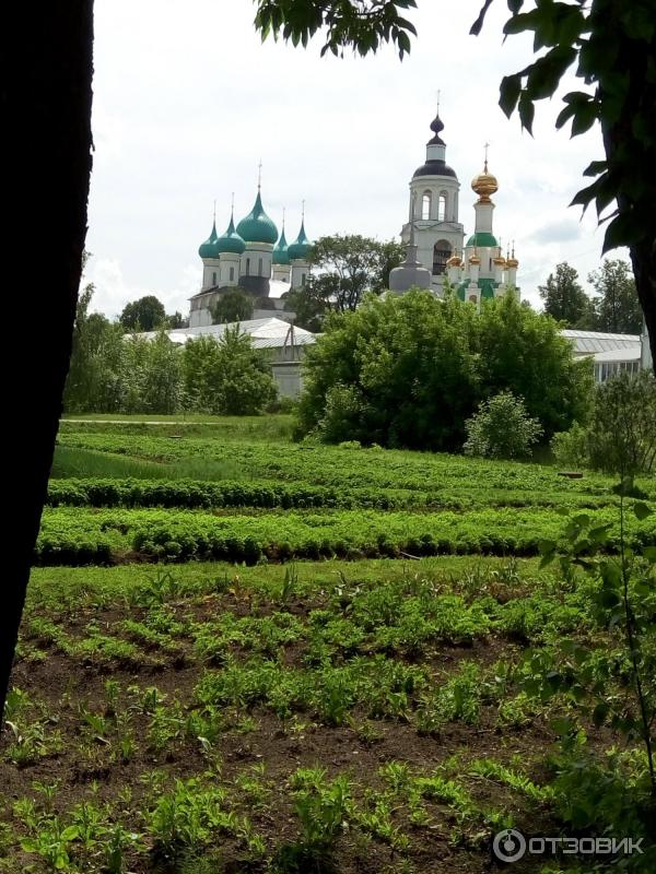 Свято-Введенский Толгский женский монастырь (Россия, Ярославль) фото