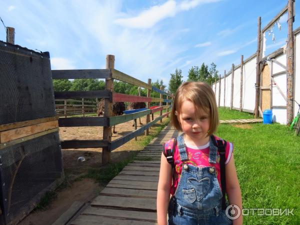 Клуб отдыха Ильмень фото