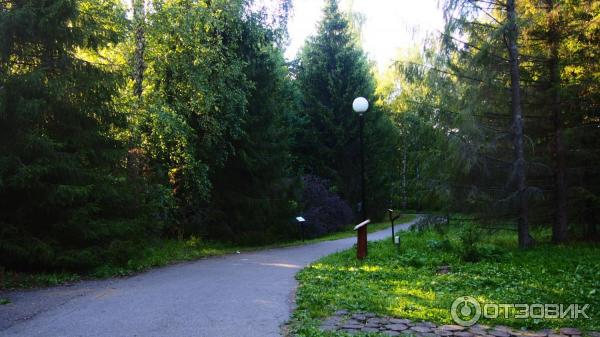 Дендрологический сад в Переславле-Залесском