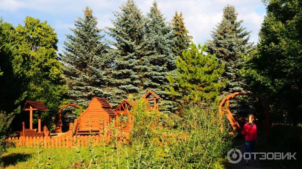 Дендрологический сад в Переславле-Залесском