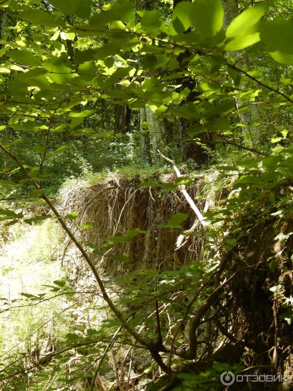 Гебиусские водопады (Россия, Краснодарский край) фото