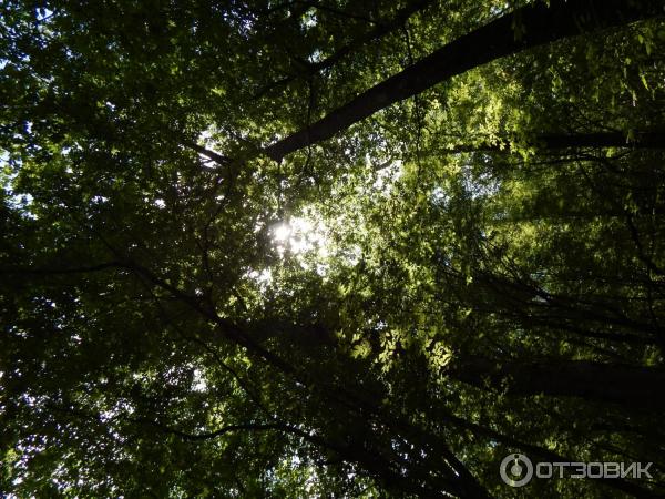 Гебиусские водопады (Россия, Краснодарский край) фото