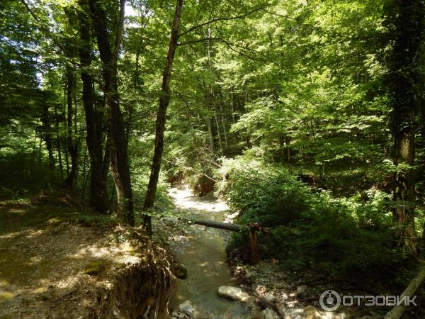 Гебиусские водопады (Россия, Краснодарский край) фото