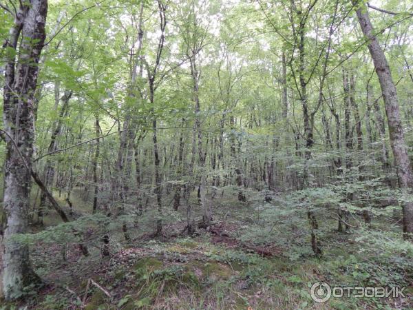 Гебиусские водопады (Россия, Краснодарский край) фото