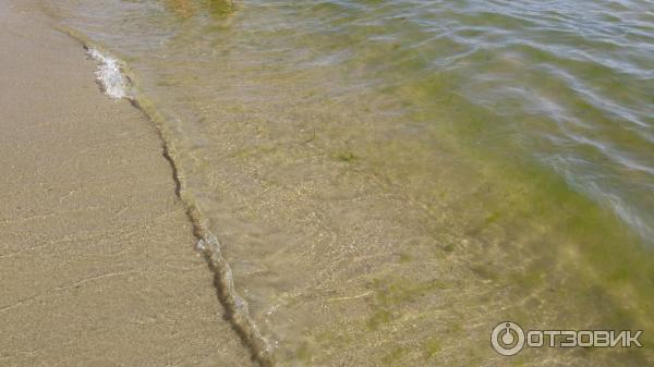 Курорт Солнечный берег (Болгария) фото
