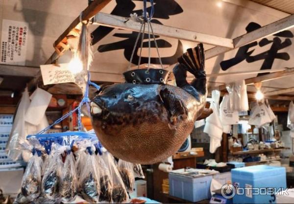 Tsukiji Market