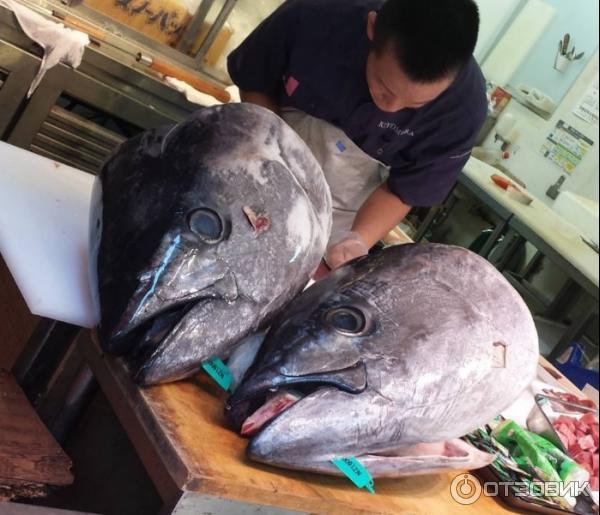 Tsukiji Market