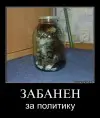 Timon72