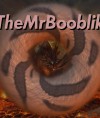 TheMrBooblik