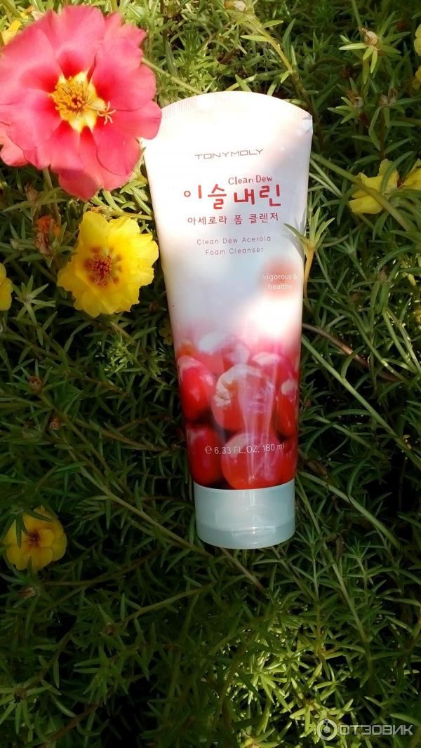Пенка для умывания Tony Moly Clean Dew Acerola Foam Cleanser фото