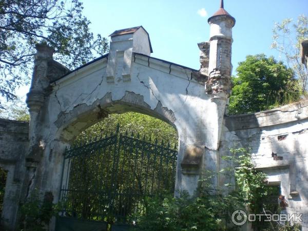 Шаровский дворцово-парковый комплекс (Украина, пгт. Шаровка) фото