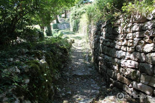 Экскурсия на гору Святого Вита (Черногория, Тиват) фото