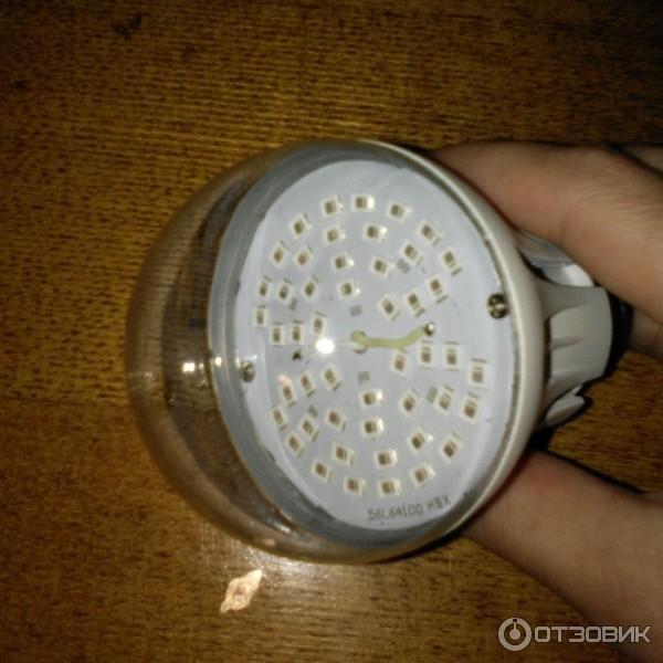 Дополнительное освещение для комнатных цветов