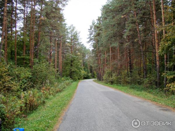 Рождество-Богородичный Санаксарский мужской монастырь (Россия, Мордовия) фото