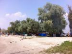 Спортивно-рыболовная база "Голубые озера" (Россия, Ростовская область) фото