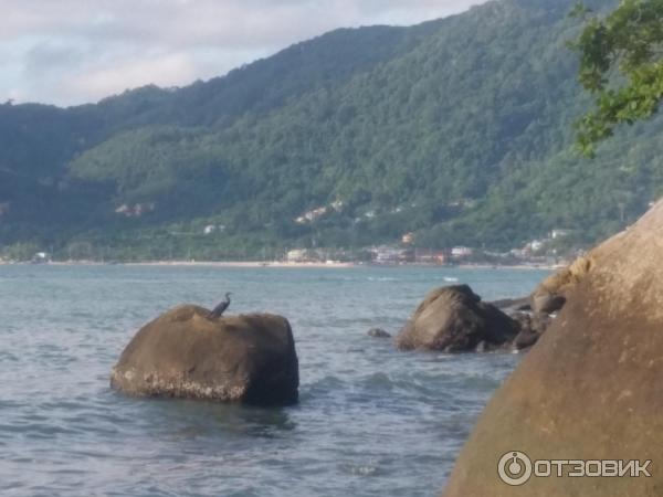 Пляж Tri Trang Beach (Таиланд, о. Пхукет) фото