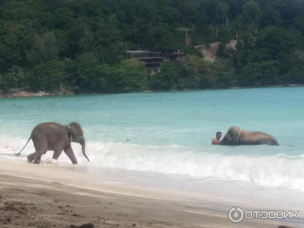 Пляж Tri Trang Beach (Таиланд, о. Пхукет) фото