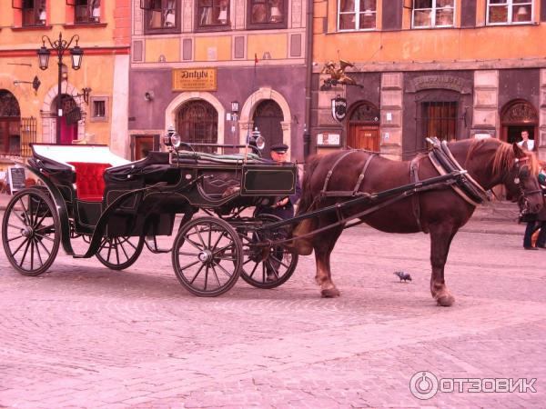 Автобусные туры по Европе фото