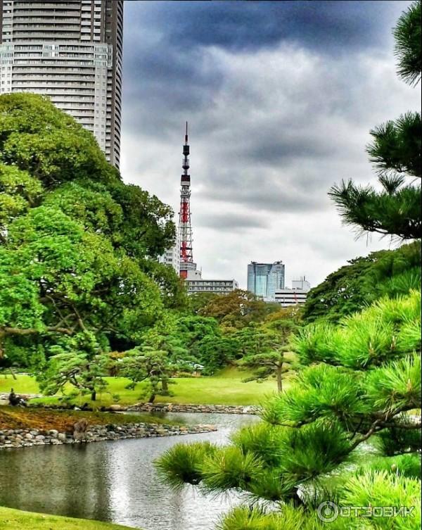 Hama Rikyu Gardens